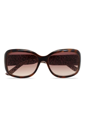 Ted Baker Brown Rectangular Womens Sunglasses with Deep Temples