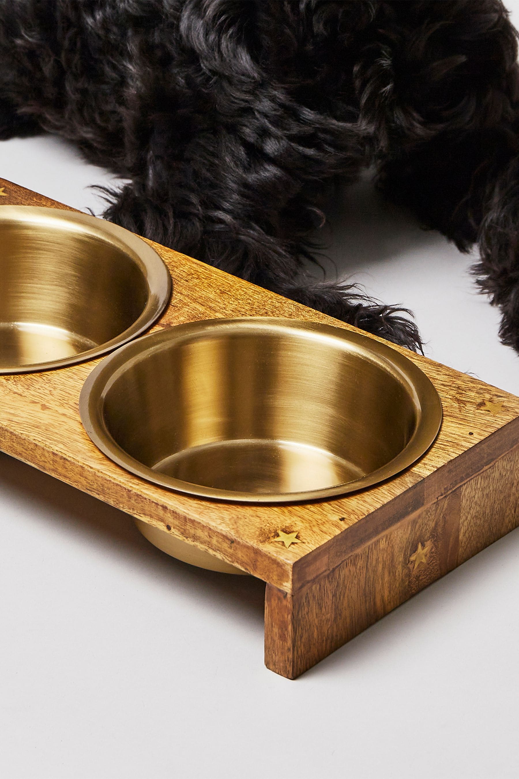 Gold dog deals bowl