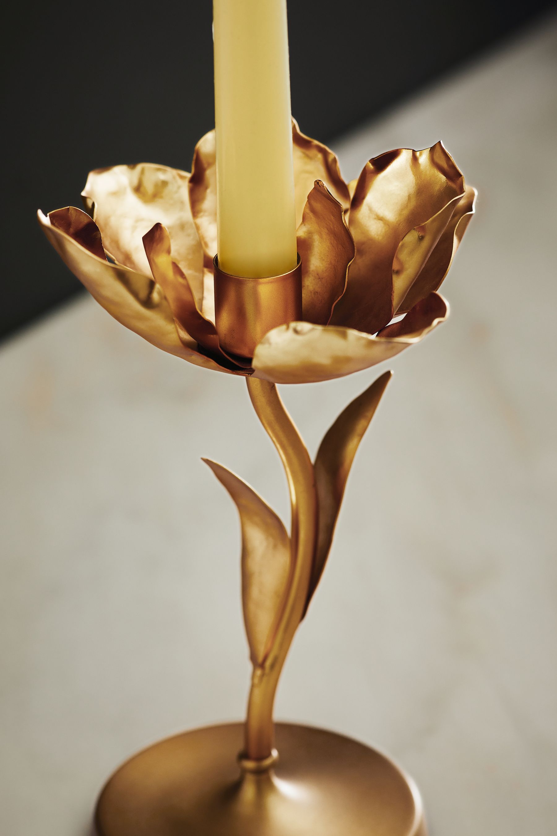 Flower candlestick store holder