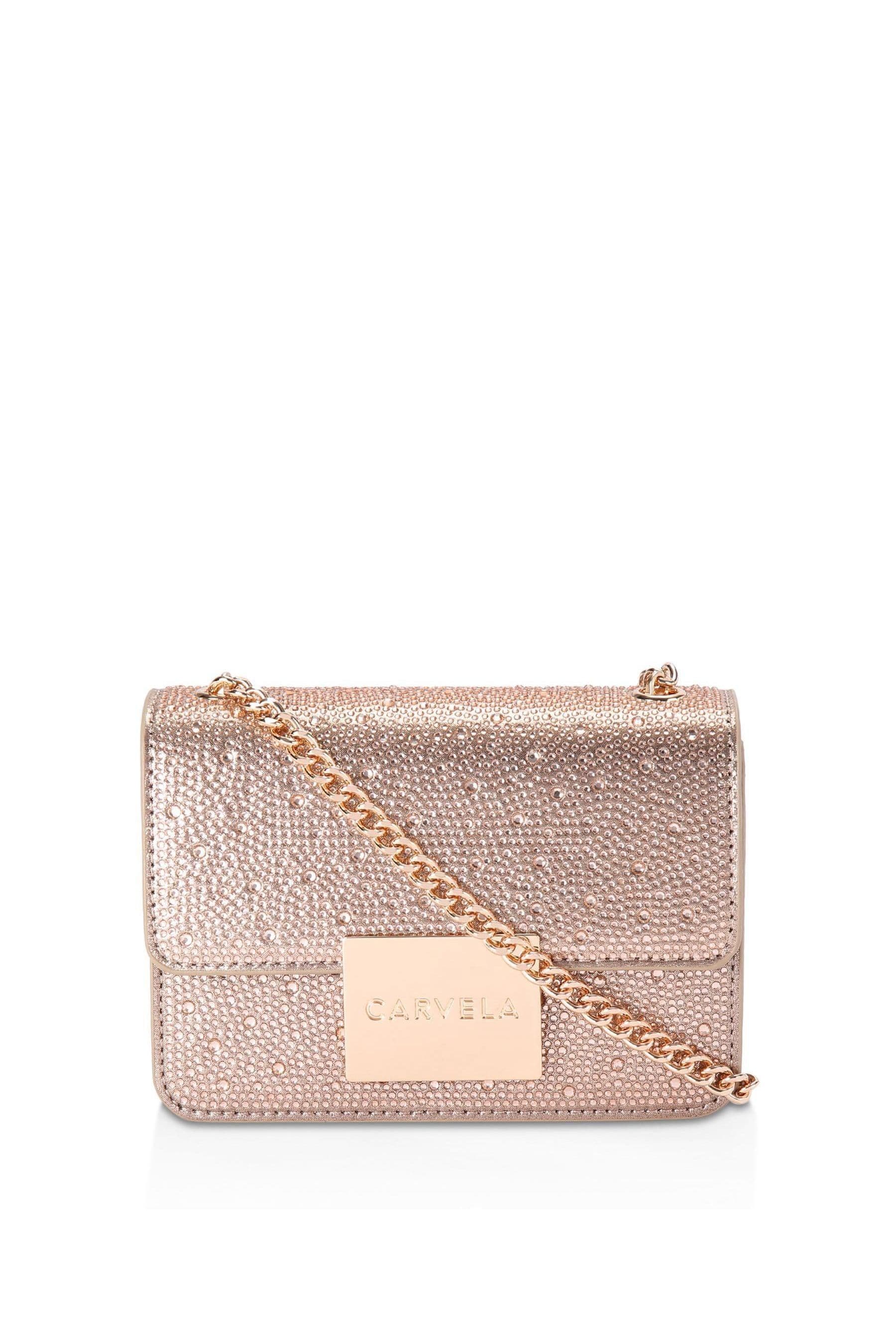 Buy Carvela Bee Mini Cross Body Bag from the Next UK online shop