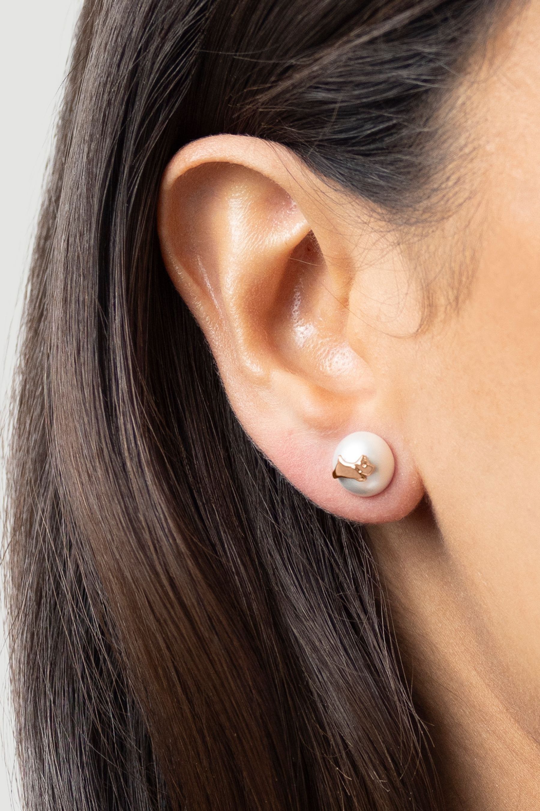 Radley dog earrings online