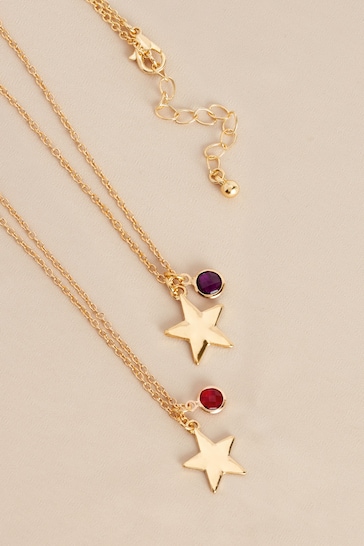 Gold Tone January Birthstone Necklace