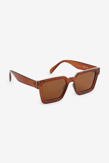 Brown Wayfarer Polarised Sunglasses