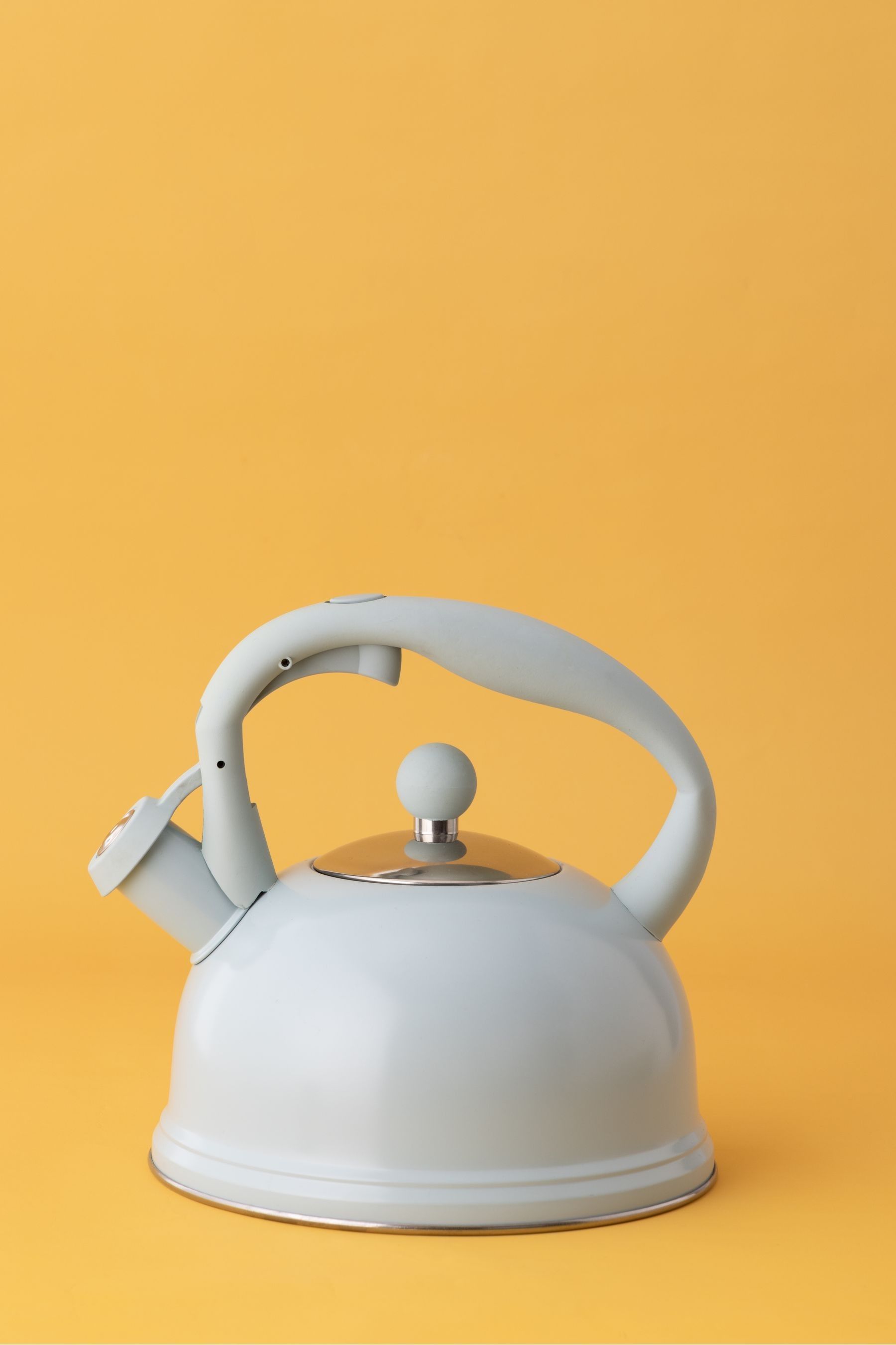 Typhoon stove top kettle online
