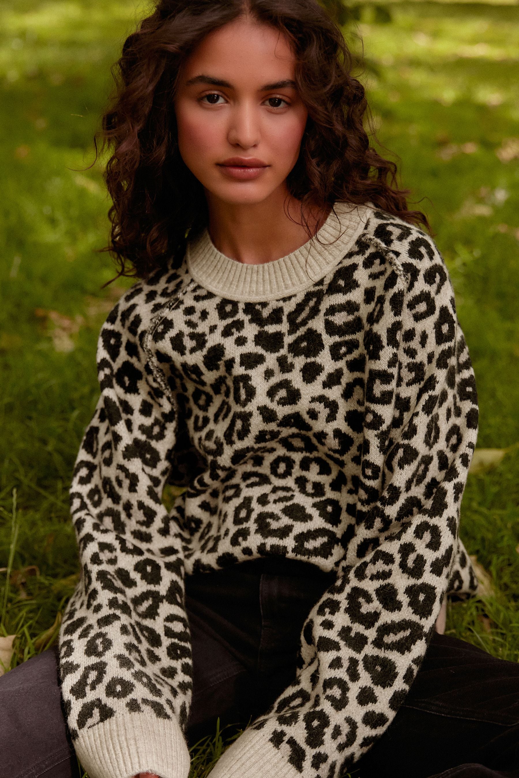 Buy Leopard Animal Seam Detail Crew Neck Jumper from the Next UK online shop