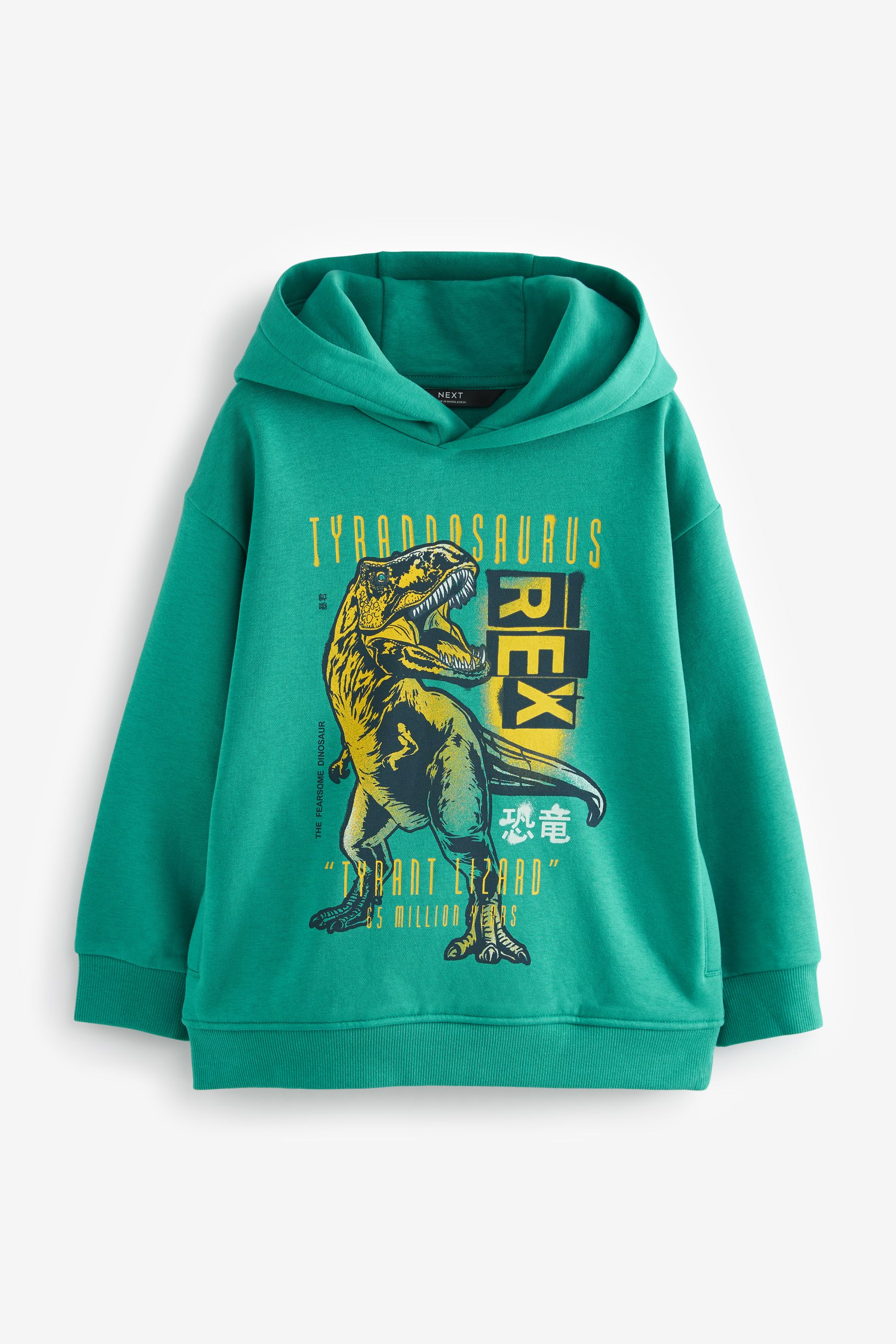 Dinosaur hoodie next sales