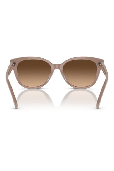 Emporio Armani EA2033 Brown Sunglasses