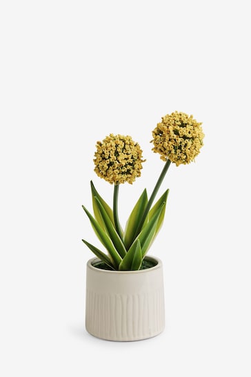 Yellow Artificial Allium Plant