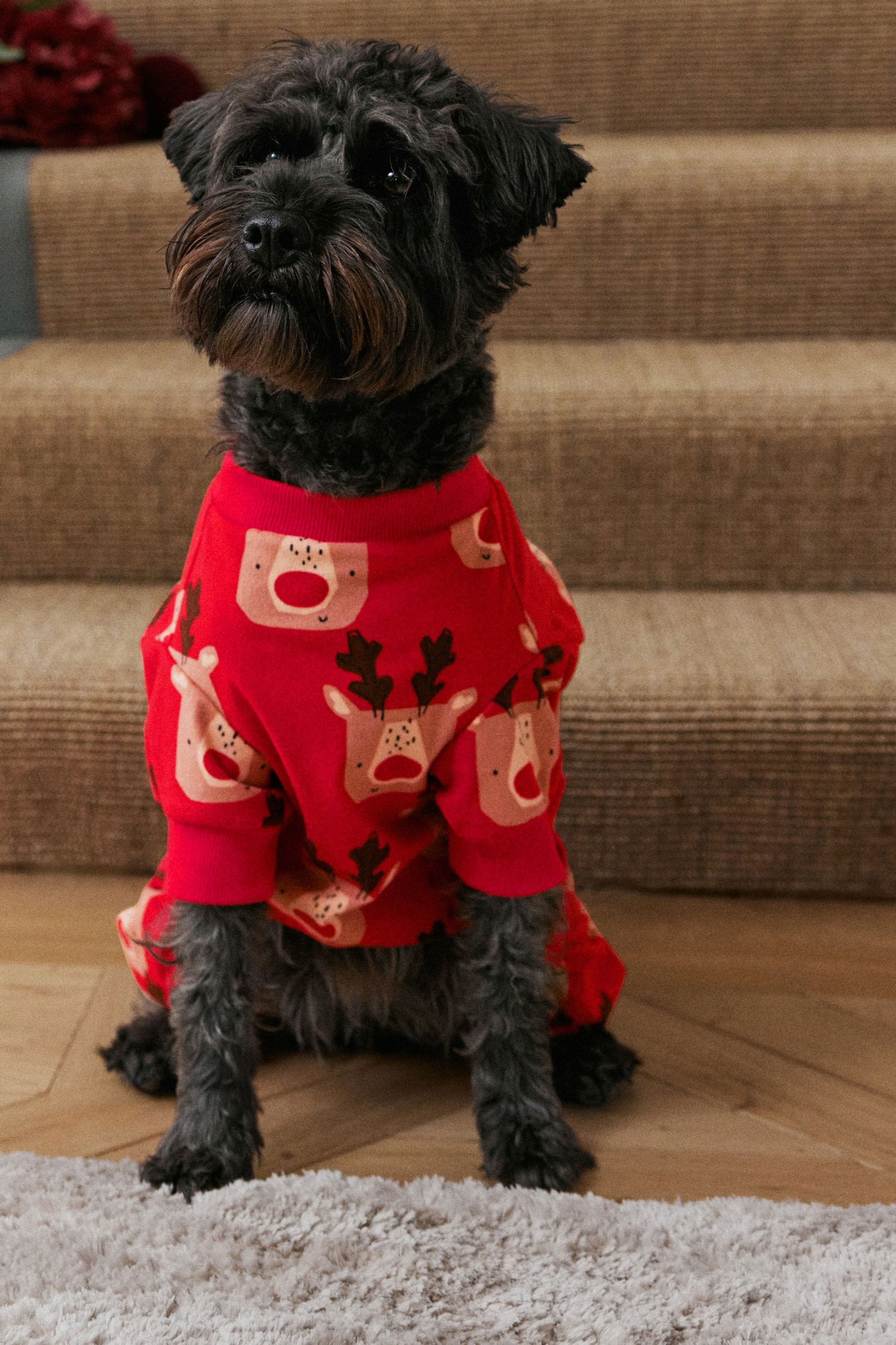 Reindeer hot sale dog pajamas