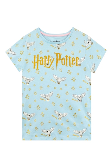 Character Blue Harry Potter T-Shirt 2 Pack