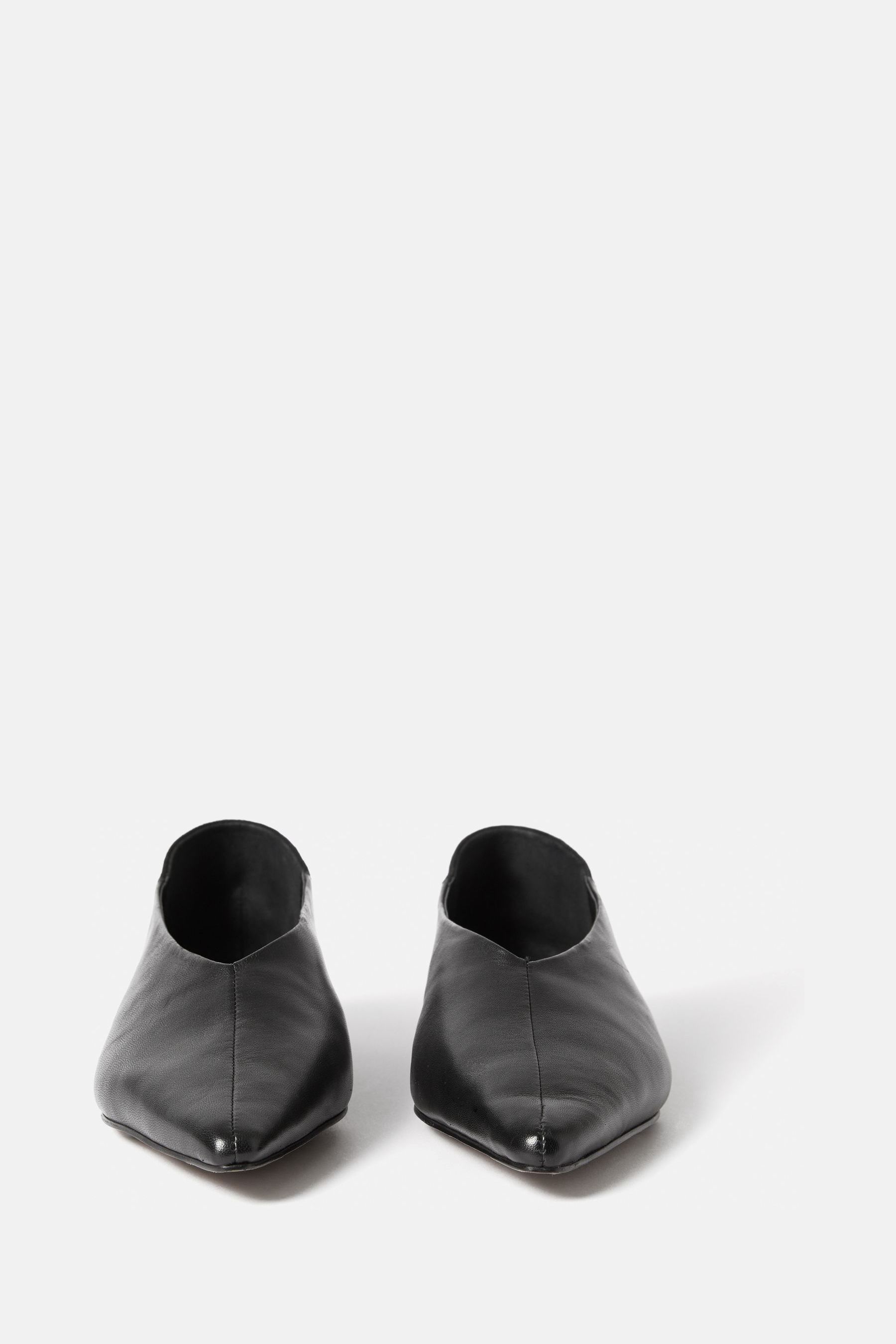 Buy Jigsaw Linnie Flat Pointed Black Ballerina from the Next UK
