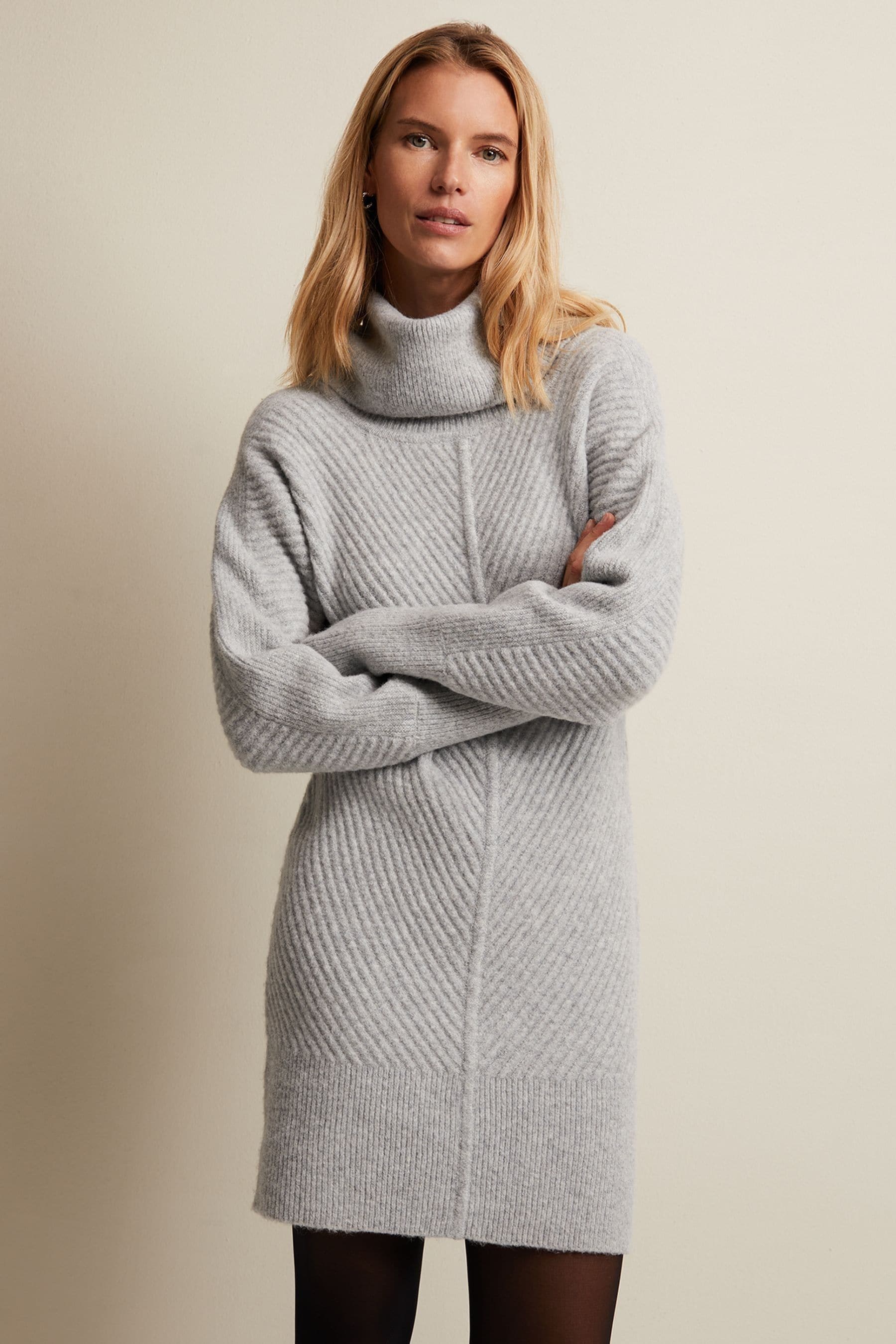 Phase eight jumper dress 2025
