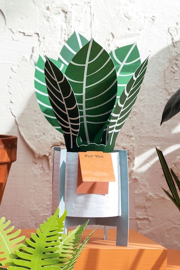 Hallmark Green For You Card 3D Pop Up Zebra Plant