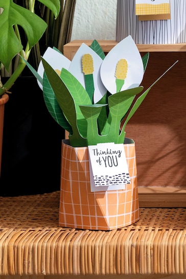 Hallmark Green Thinking of You Card 3D Pop Up Peace Lily