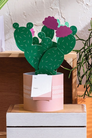Hallmark Green Just To Say Card 3D Pop Up Cactus