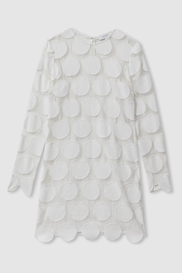 Reiss Ivory Serena Sheer Embroidered Mini Dress