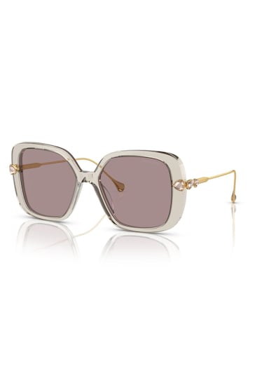 Swarovski Brown SK6011 Sunglasses