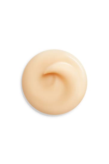 Shiseido Overnight Wrinkle Resisting Cream 50ml