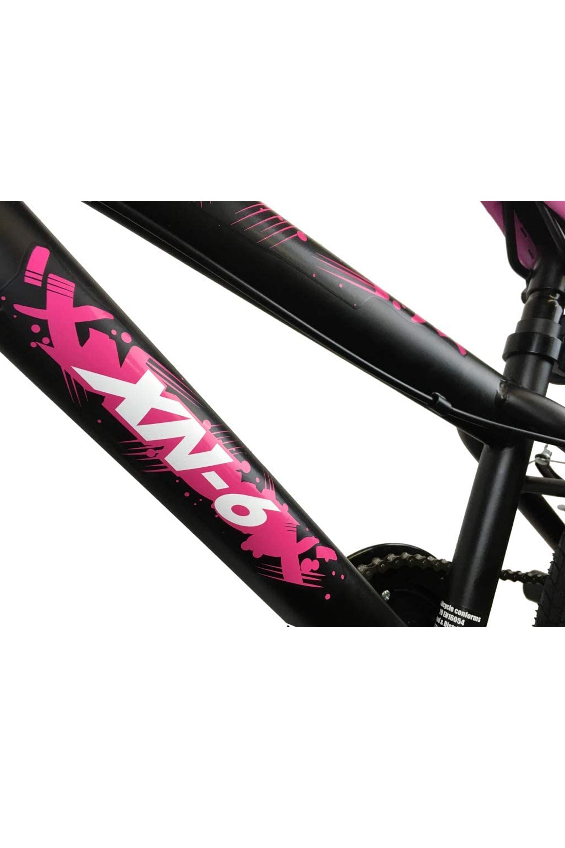 Next bicycles 20 inch 2025