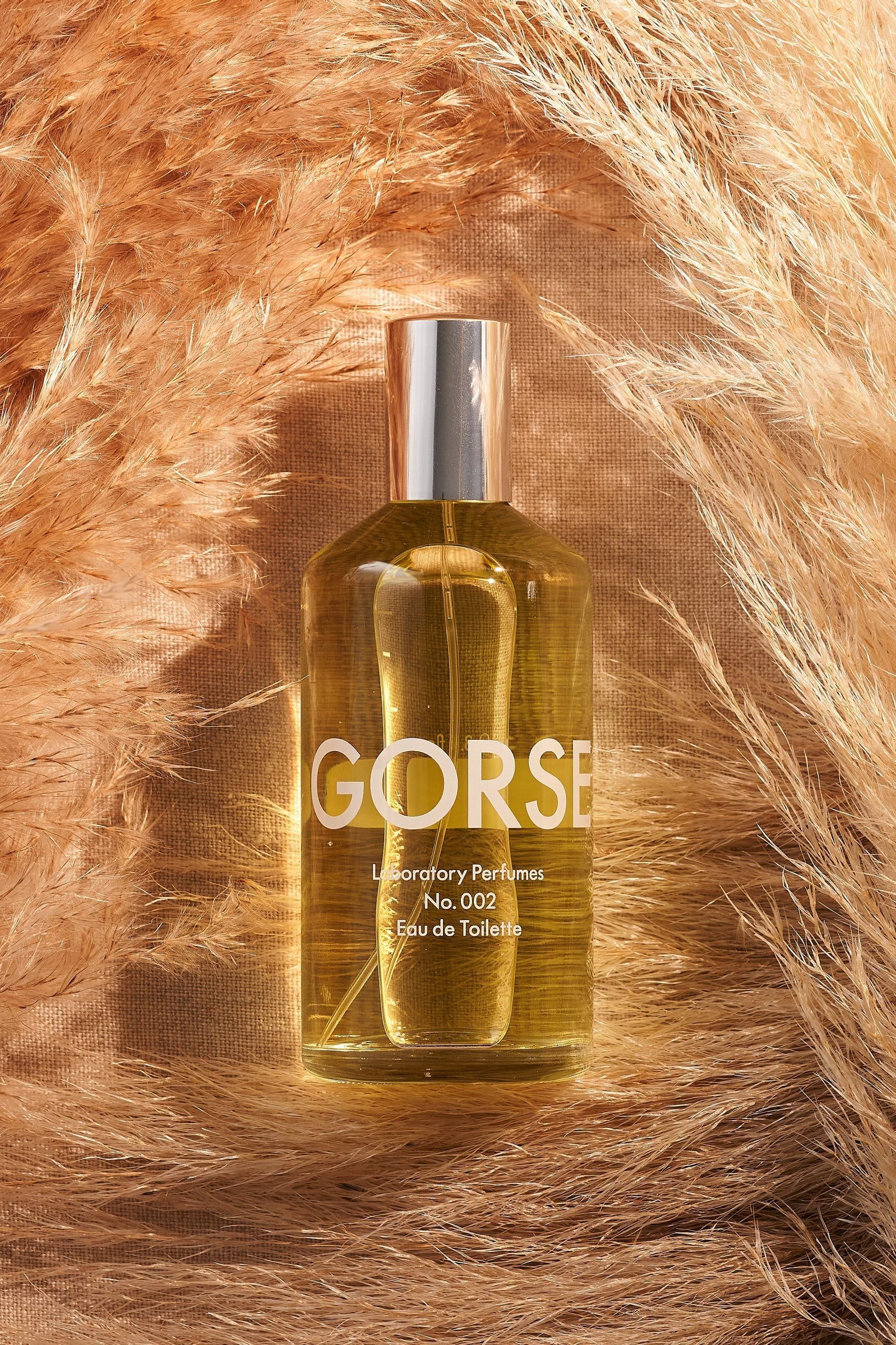Buy Laboratory Perfumes Gorse Eau de Toilette 100ml from the Next