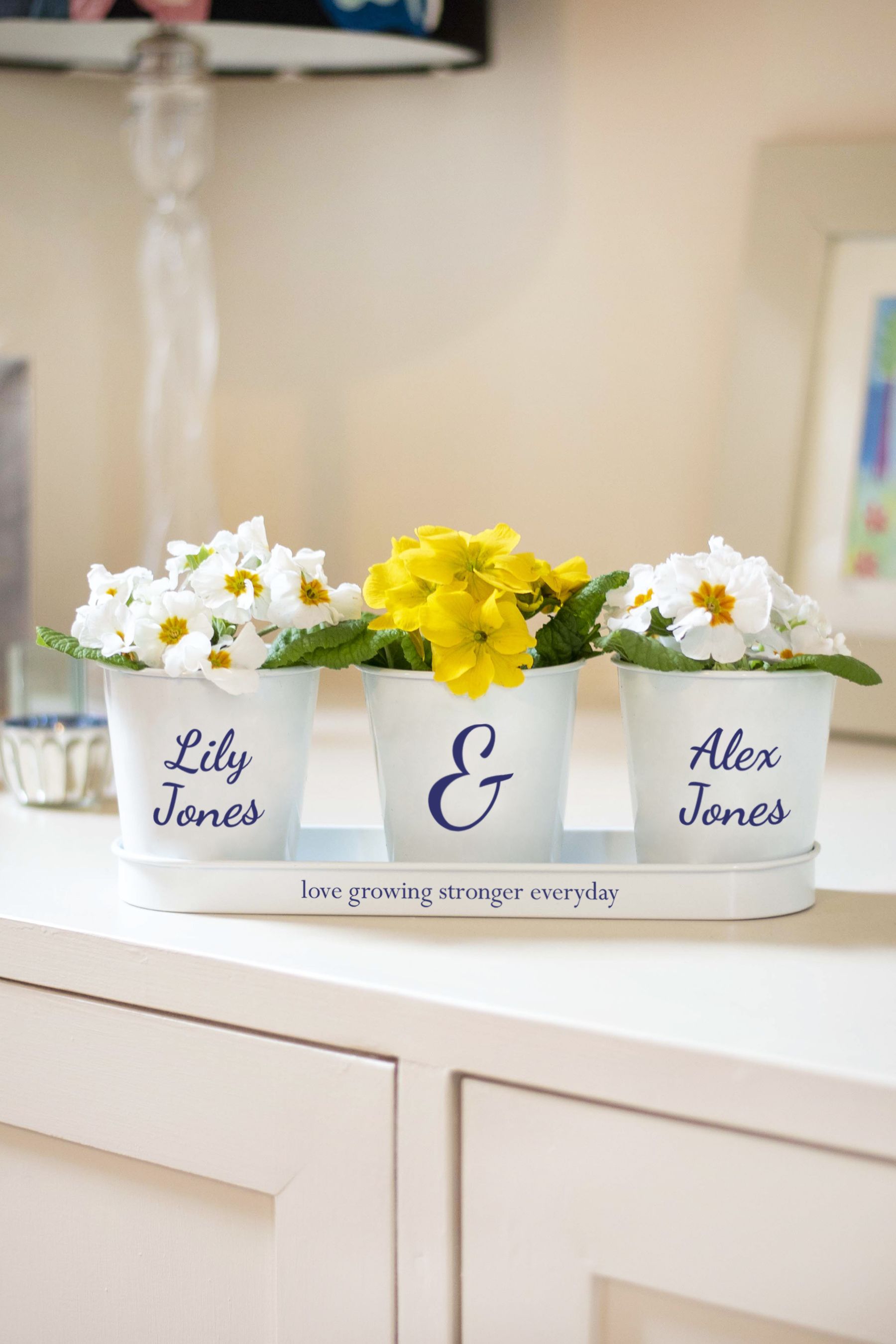 Personalised plant deals pots