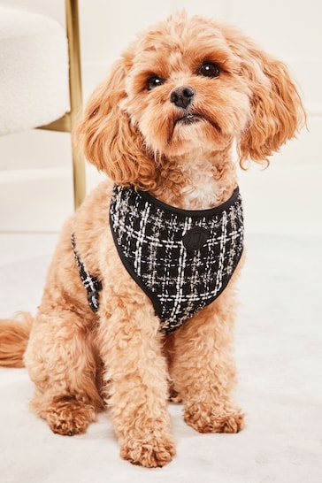 Lipsy Black Boucle Printed Dog Harness