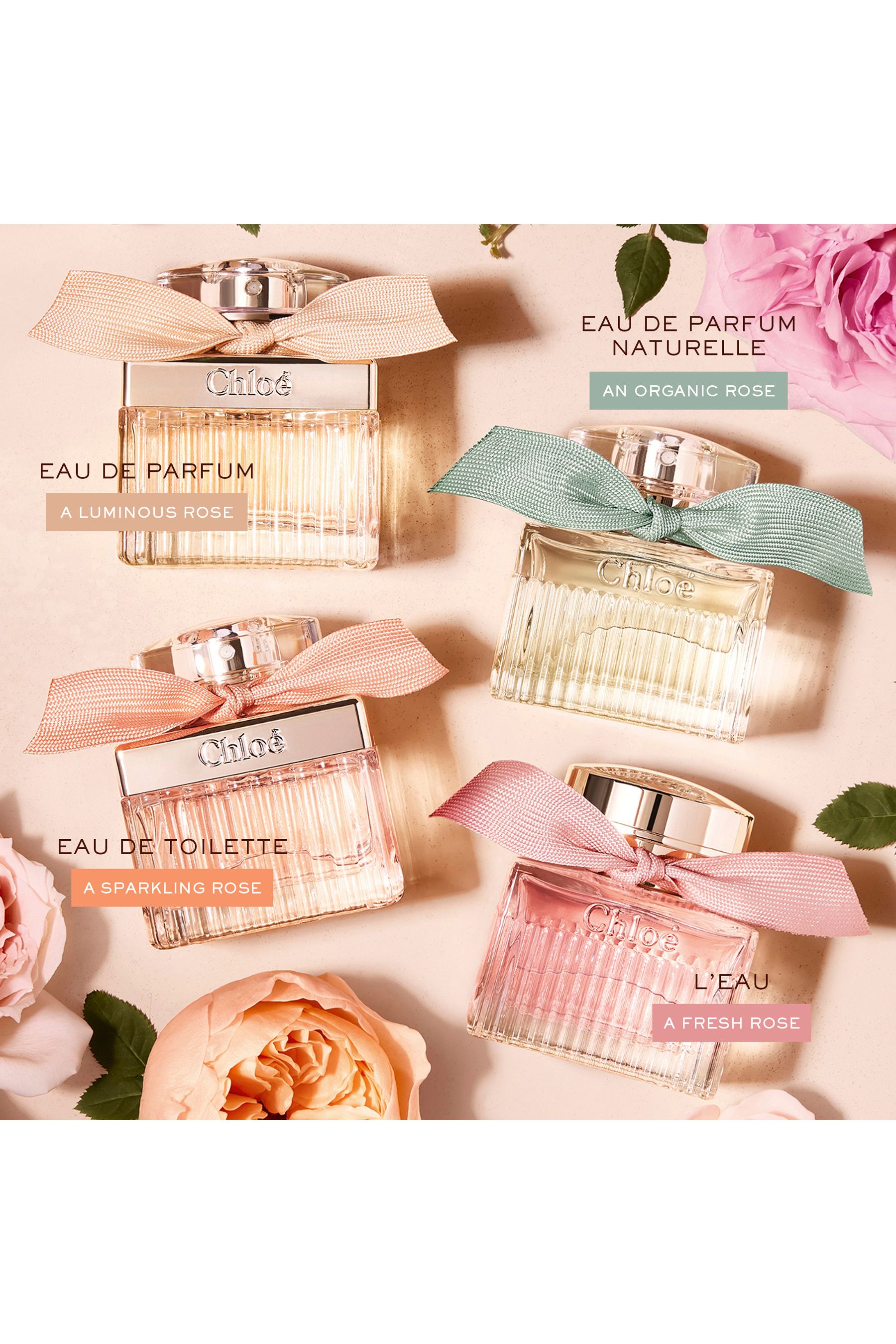 Buy Chlo Eau de Parfum 30ml from the Next UK online shop