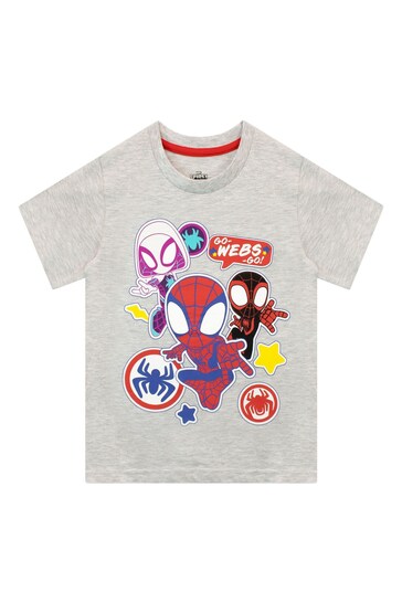 Character Grey Spider-Man Short Sleeve T-Shirt