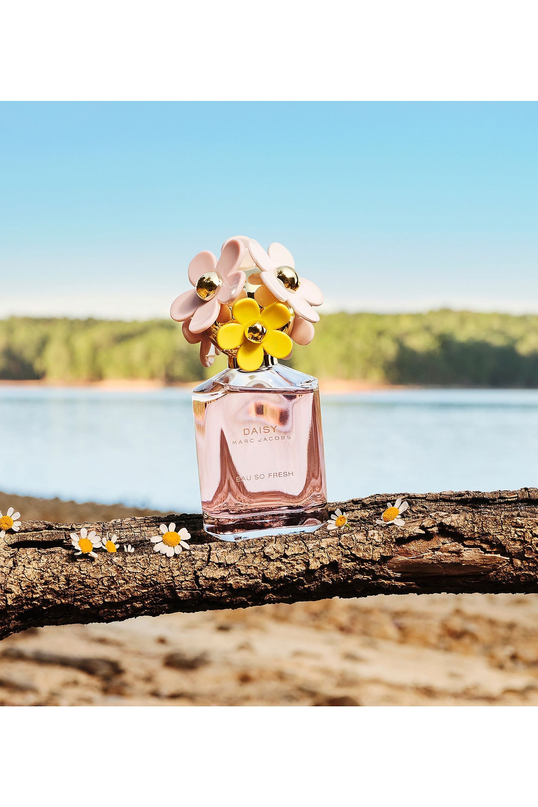 Buy Marc Jacobs Daisy Eau So Fresh Eau de Toilette 30ml from the