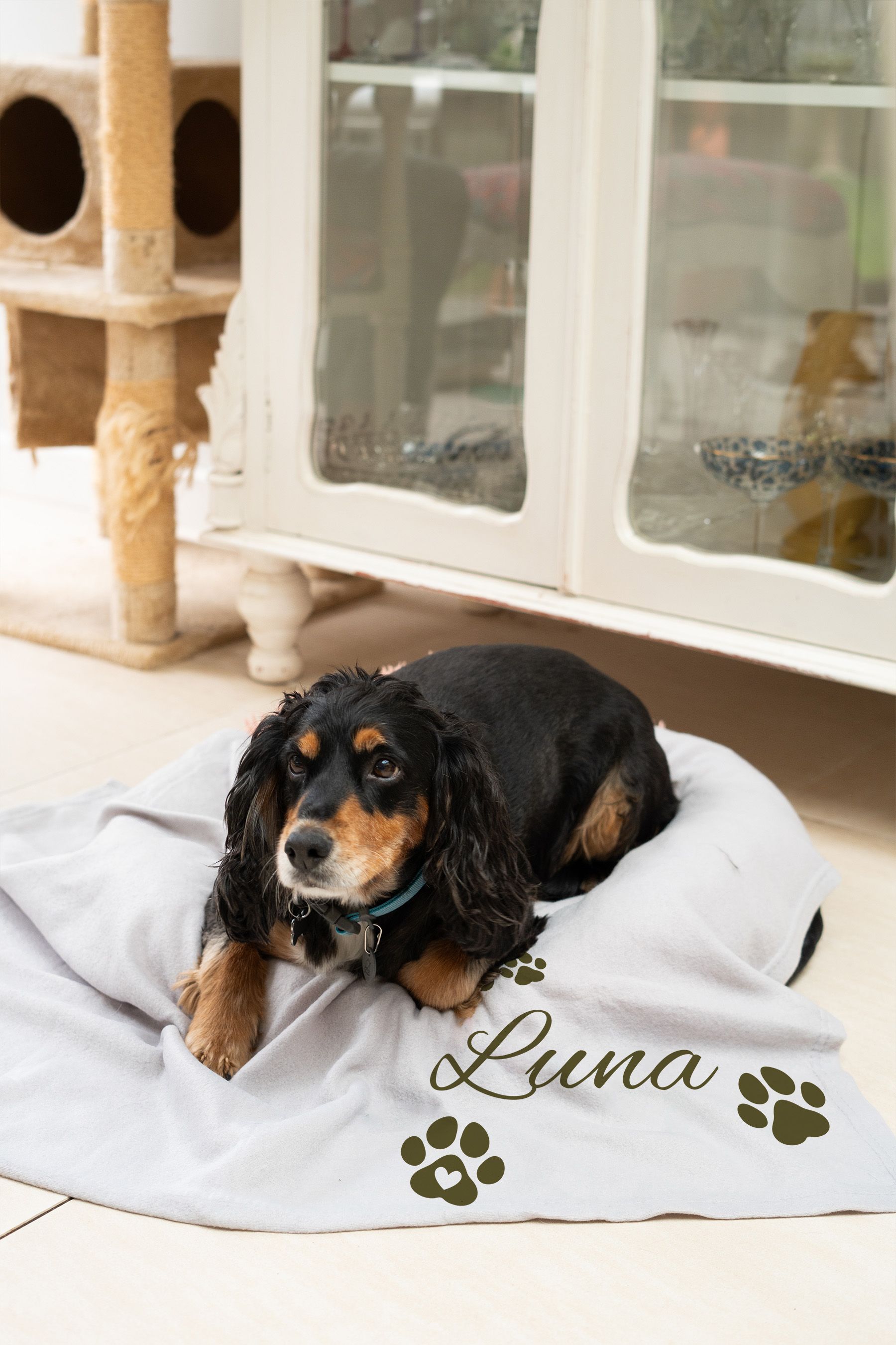 Next deals dog blanket
