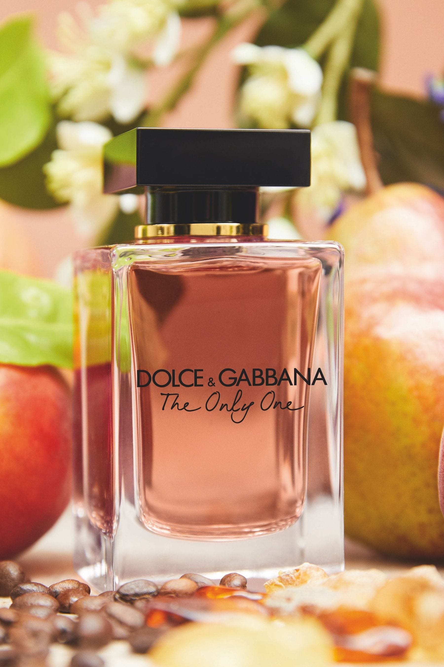 Dolce gabbana outlet only one