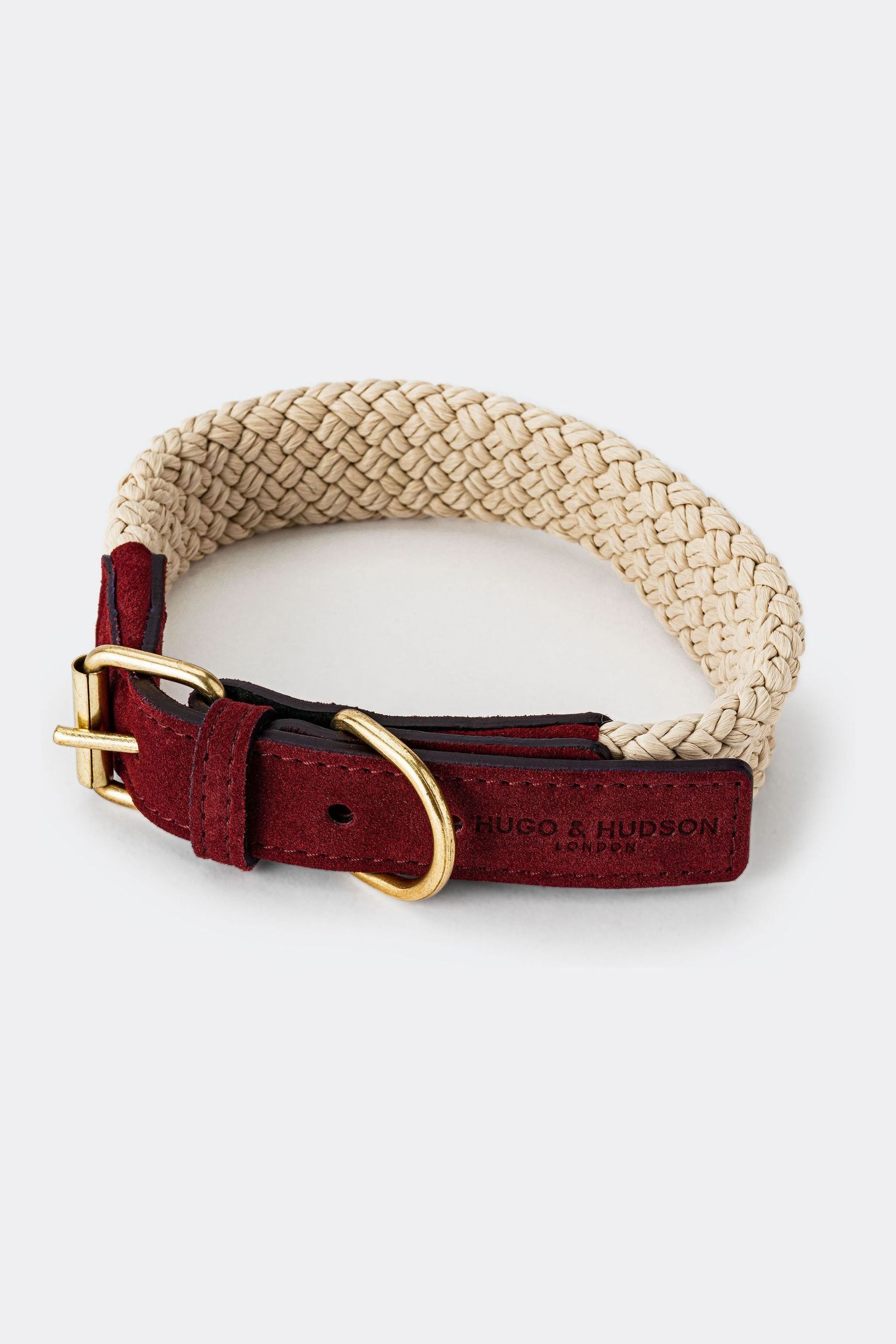 Rope and leather dog collar online