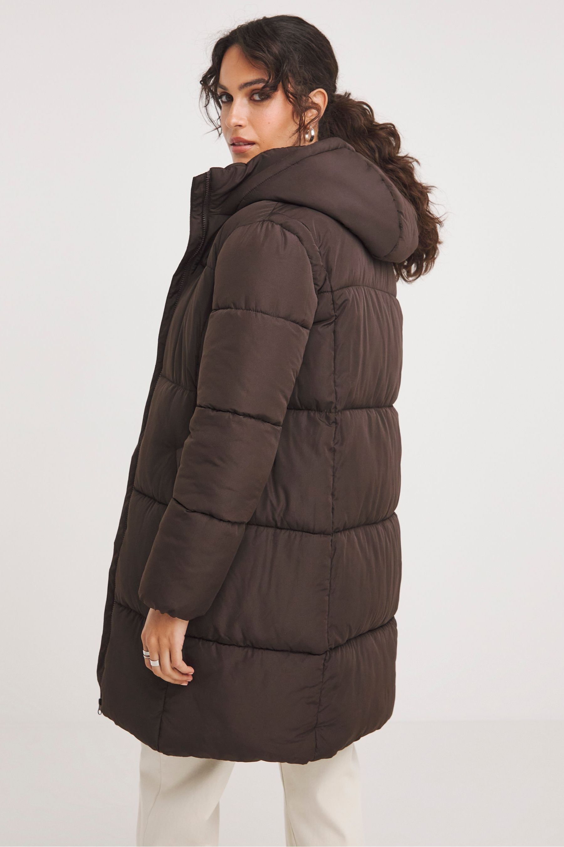 JD Williams Chocolate Mid Padded Coat