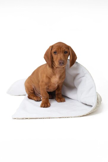 Lords and Labradors Ivory Dog & Puppy Boucle Blanket