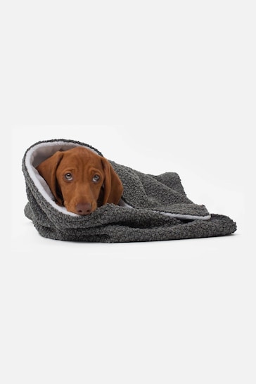 Lords and Labradors Grey Dog & Puppy Boucle Blanket