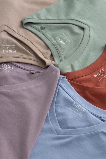 Light Grey/Blue/Green/Neutral V-Neck T-Shirts 5 Pack