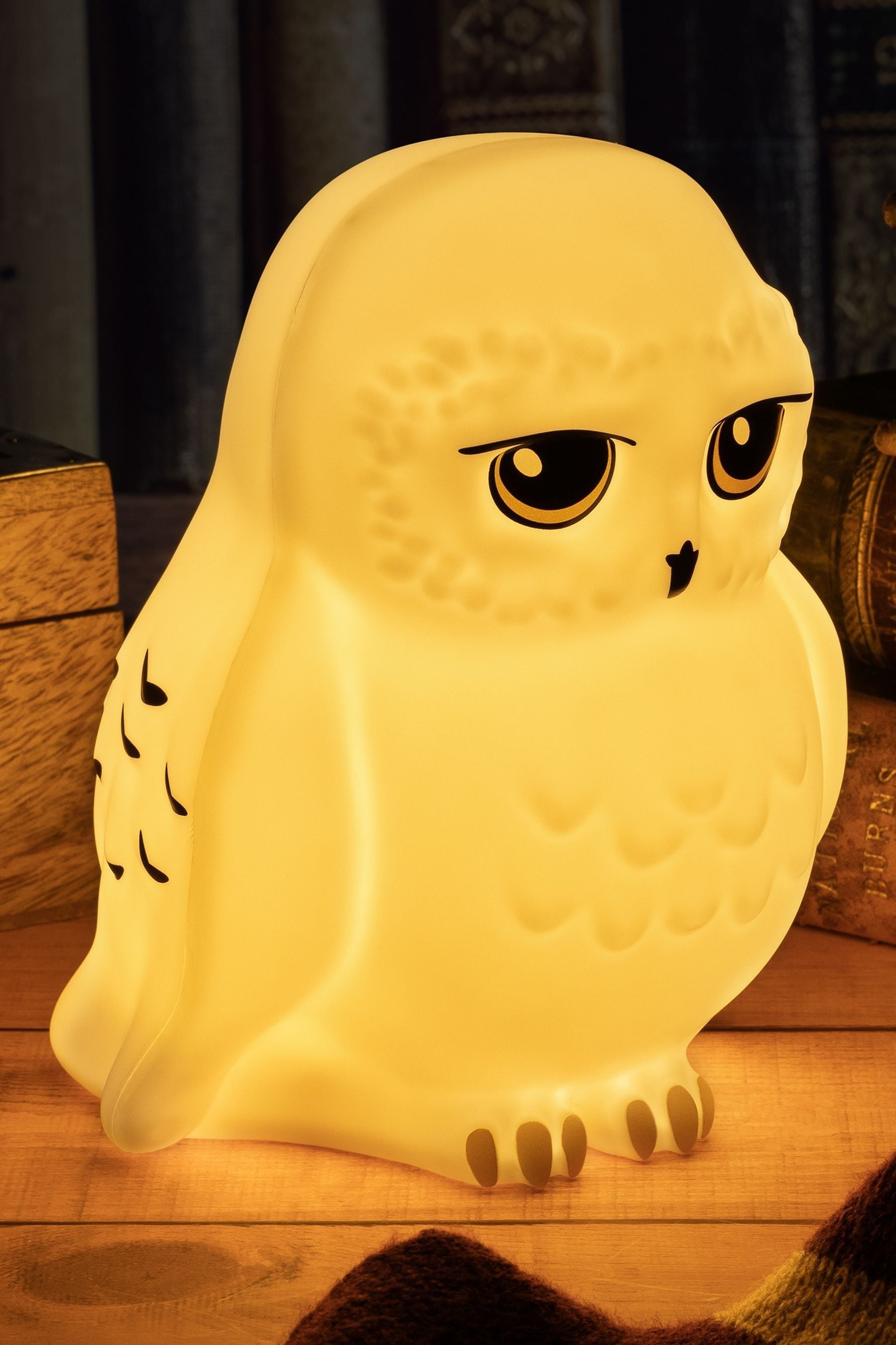 Buy Harry Potter Hedwig Light from the Next UK online shop
