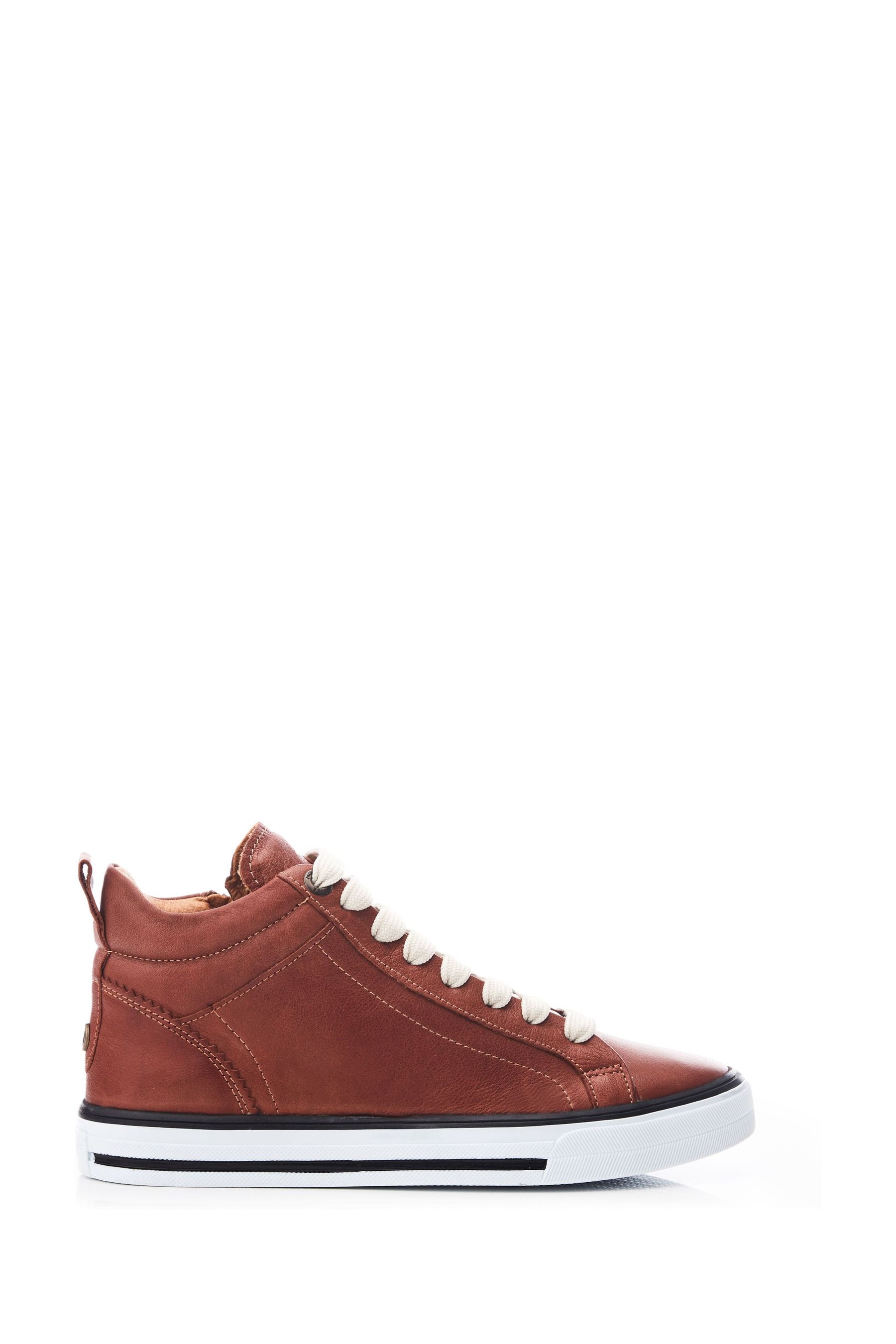 Top moda new arrivals shoe company