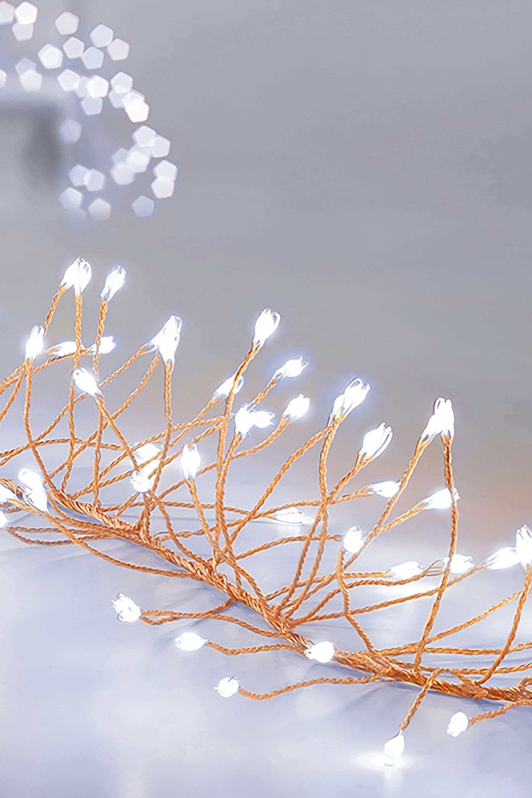 Rose christmas lights deals