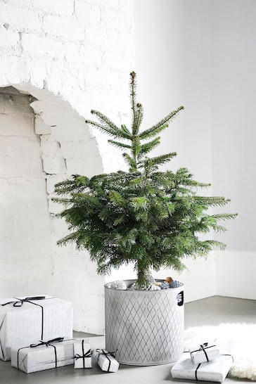 Ivyline Grey Indoor Christmas Tree Bucket