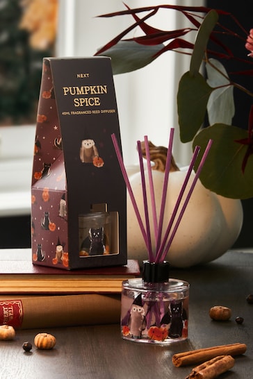 Orange/Black Pumpkin Spice Fragranced 40ml Reed Diffuser