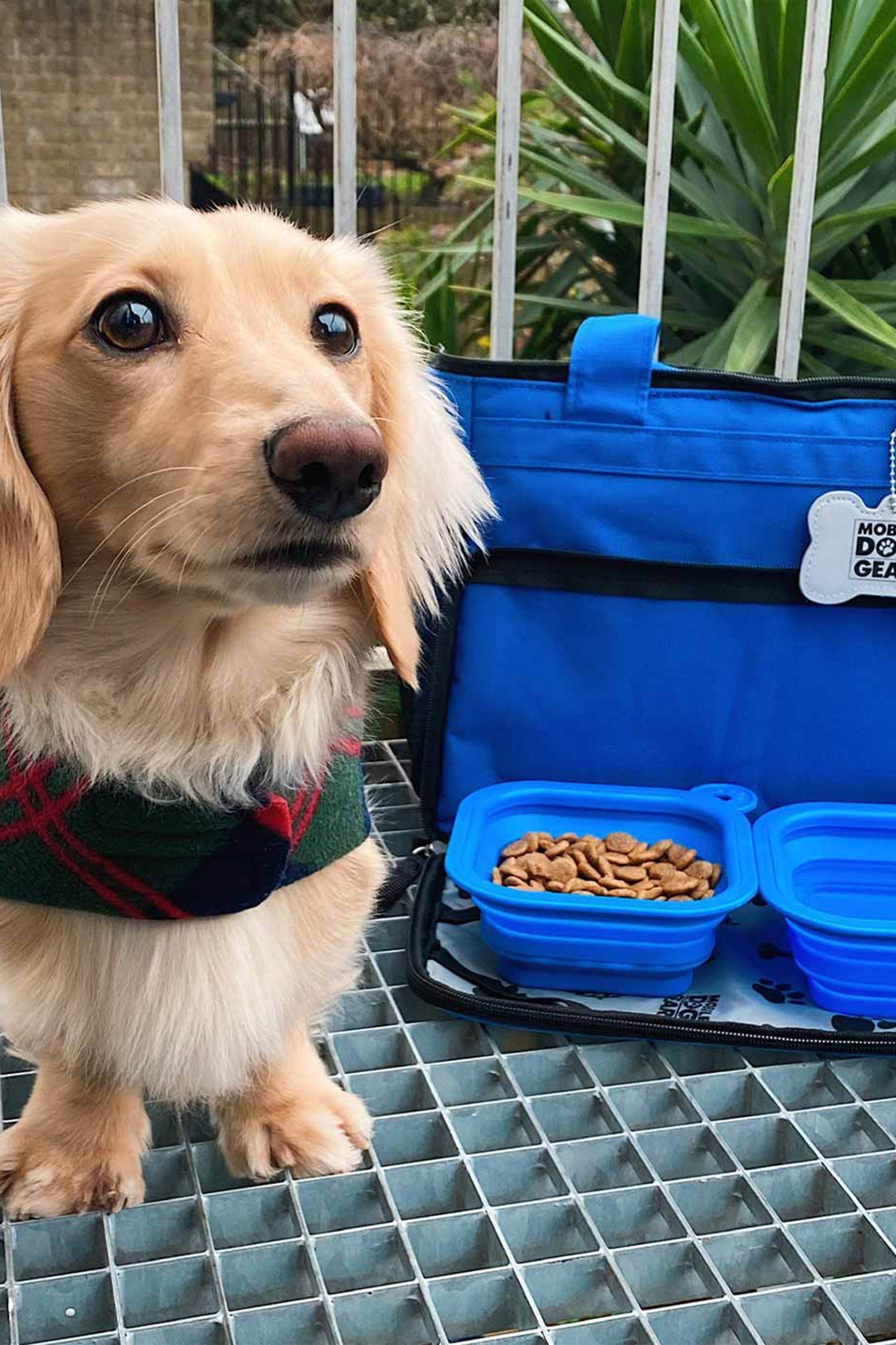 Buy Lords and Labradors Blue Week Away Dog Travel Bag from the Next UK online shop
