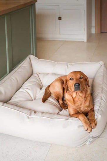 Lords and Labradors Natural Dog Box Bed in Rhino Leather