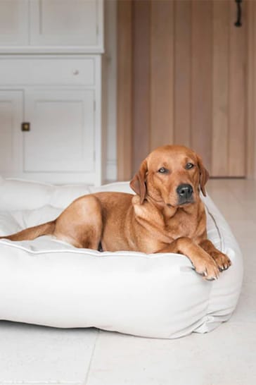 Lords and Labradors Natural Dog Box Bed in Rhino Leather