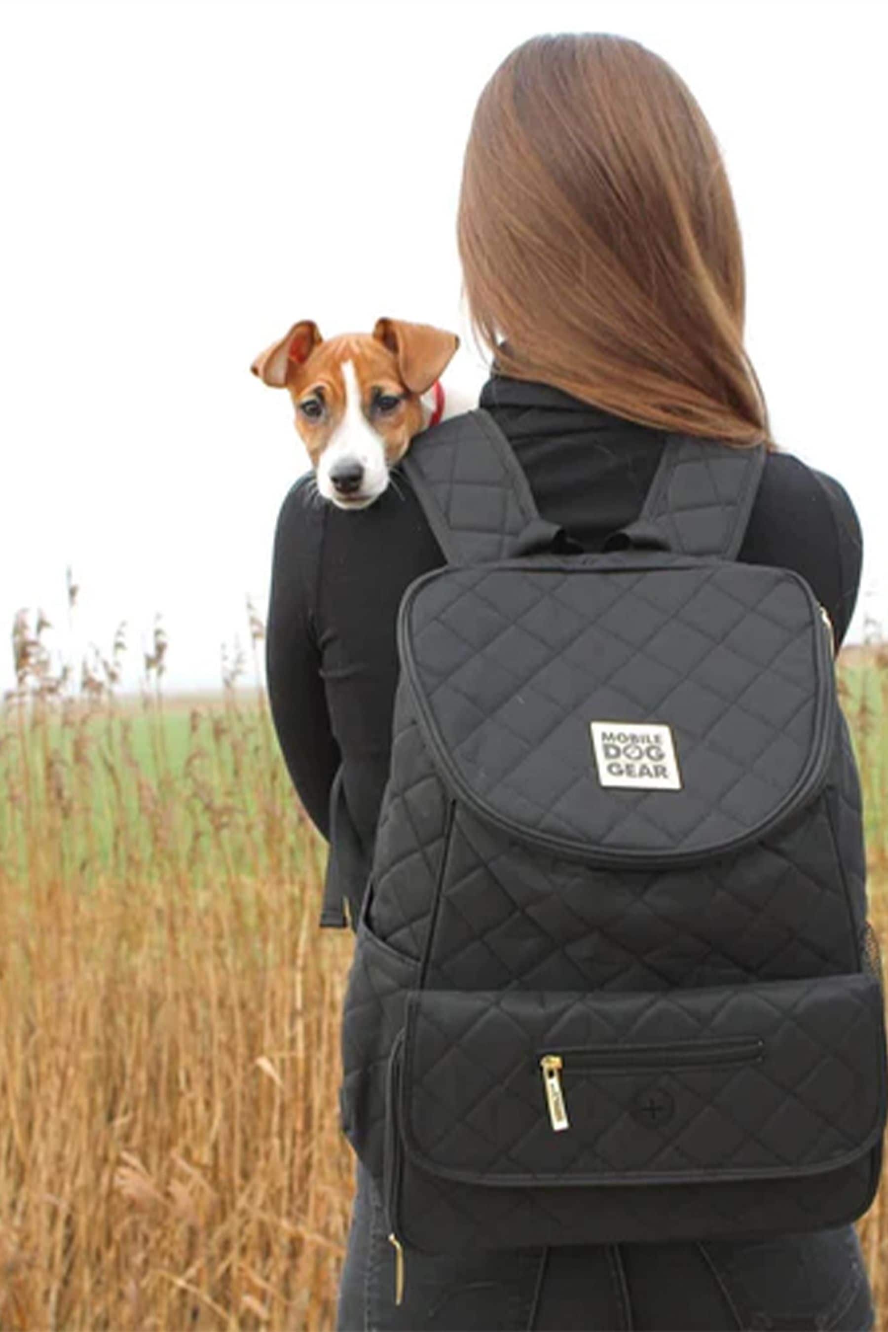 Lords and Labradors Black Weekender Dog Backpack