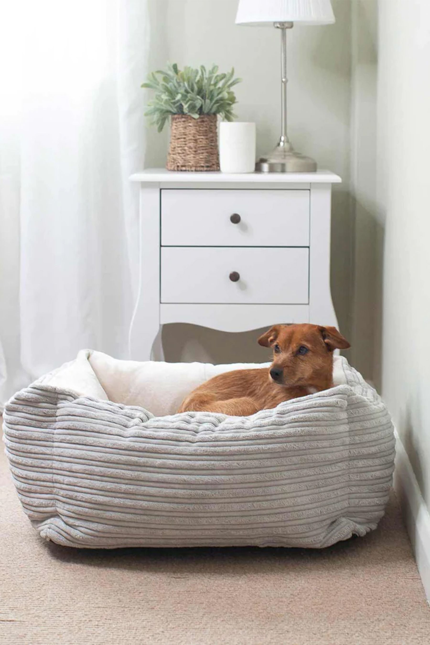 Lightweight dog box top