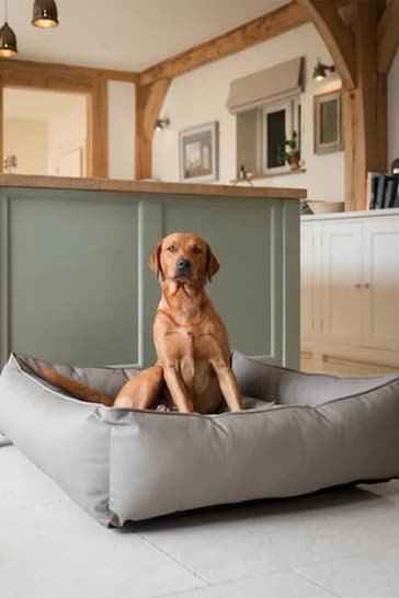 Lords and Labradors Mink Brown Dog Box Bed in Rhino Leather