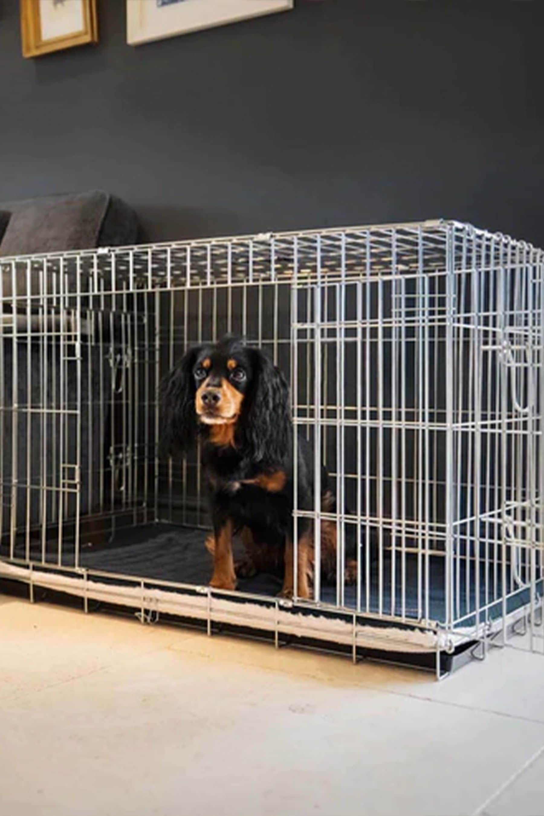 Essentials dog crate discount