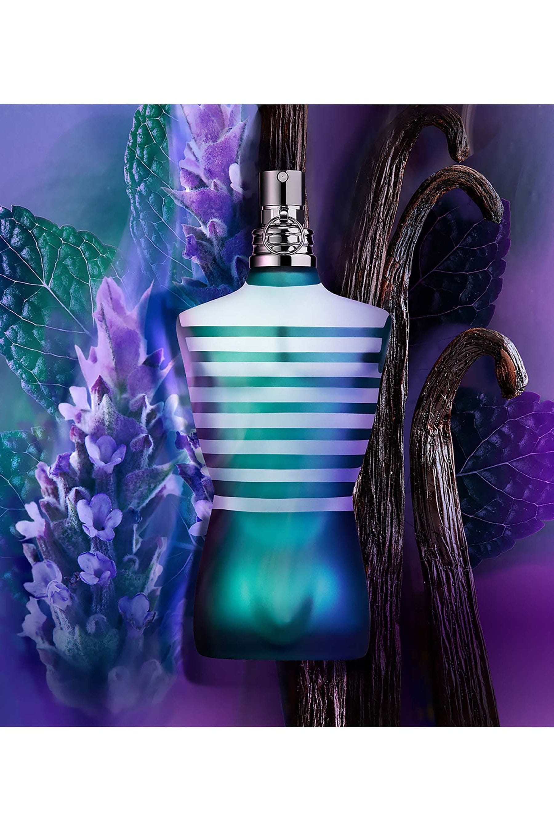 Buy Jean Paul Gaultier Le Male Eau de Toilette 40ml from the Next