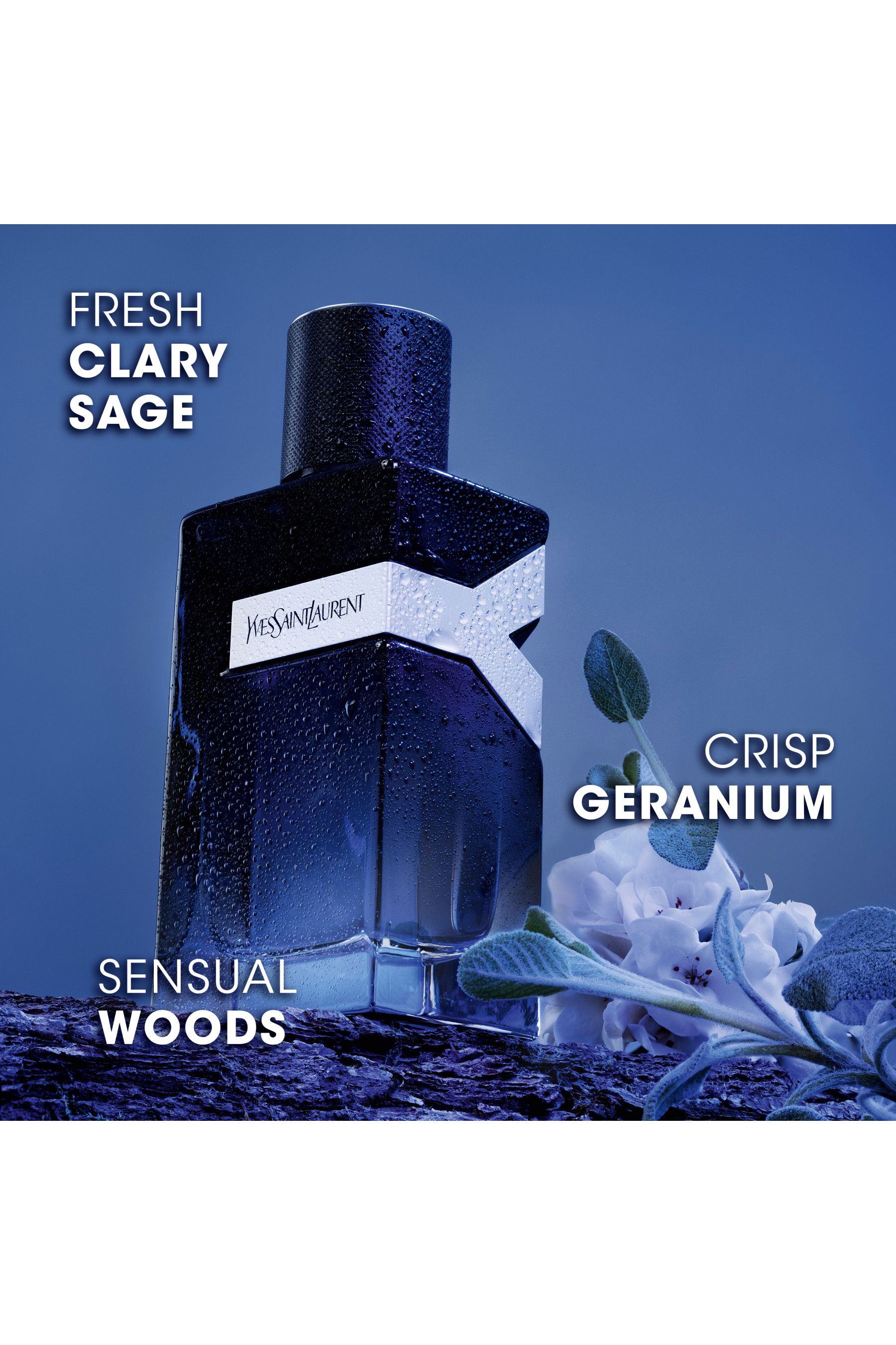 Buy Yves Saint Laurent Y Eau de Parfum 60ml from the Next UK